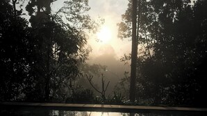 Un espace piscine paisible où se reflètent les arbres et un ciel dégagé.