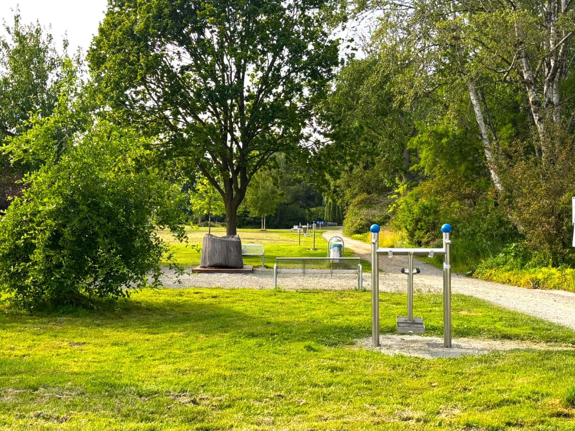 A park with exercise equipment, a large tree, and a well-maintained lawn.