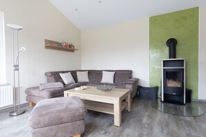 Télévision, cheminée, lecteur de DVD, chaîne hi-fi