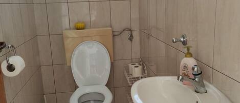 Een badkamer met toilet, wastafel en toiletpapierhouder.