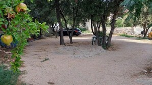 Una zona pavimentada amb arbres i un cotxe aparcat.