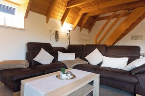 Télévision, cheminée, lecteur de DVD, chaîne hi-fi