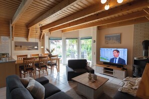 Télévision, cheminée, lecteur de DVD, chaîne hi-fi