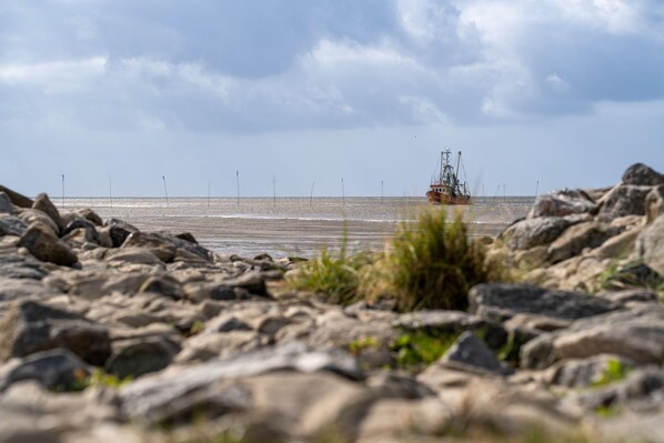 Beach - Vacation home Maja. Charming and with its own sauna in the garden. (Wurster Nordseeküste)