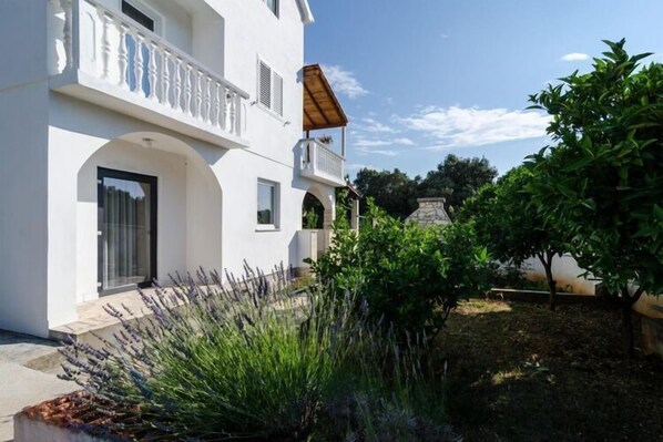 Terrain de l’hébergement 