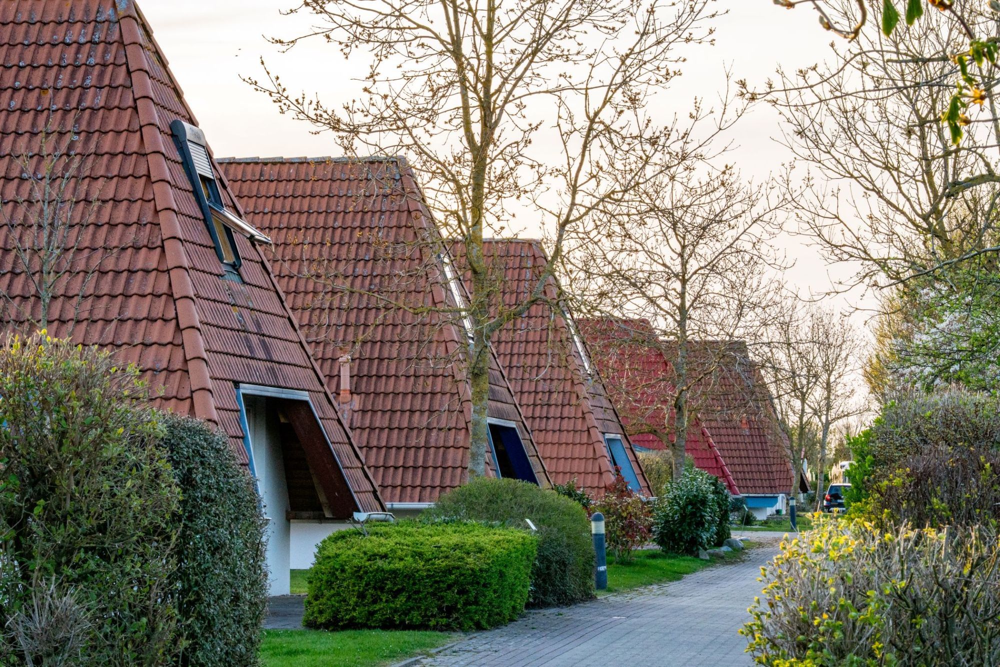 A row of traditional houses with sloped roofs and small windows, surrounded by greenery and a paved path.