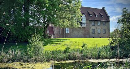 Vacation home Kiebitzmoor 7, at ground level and surrounded by greenery.