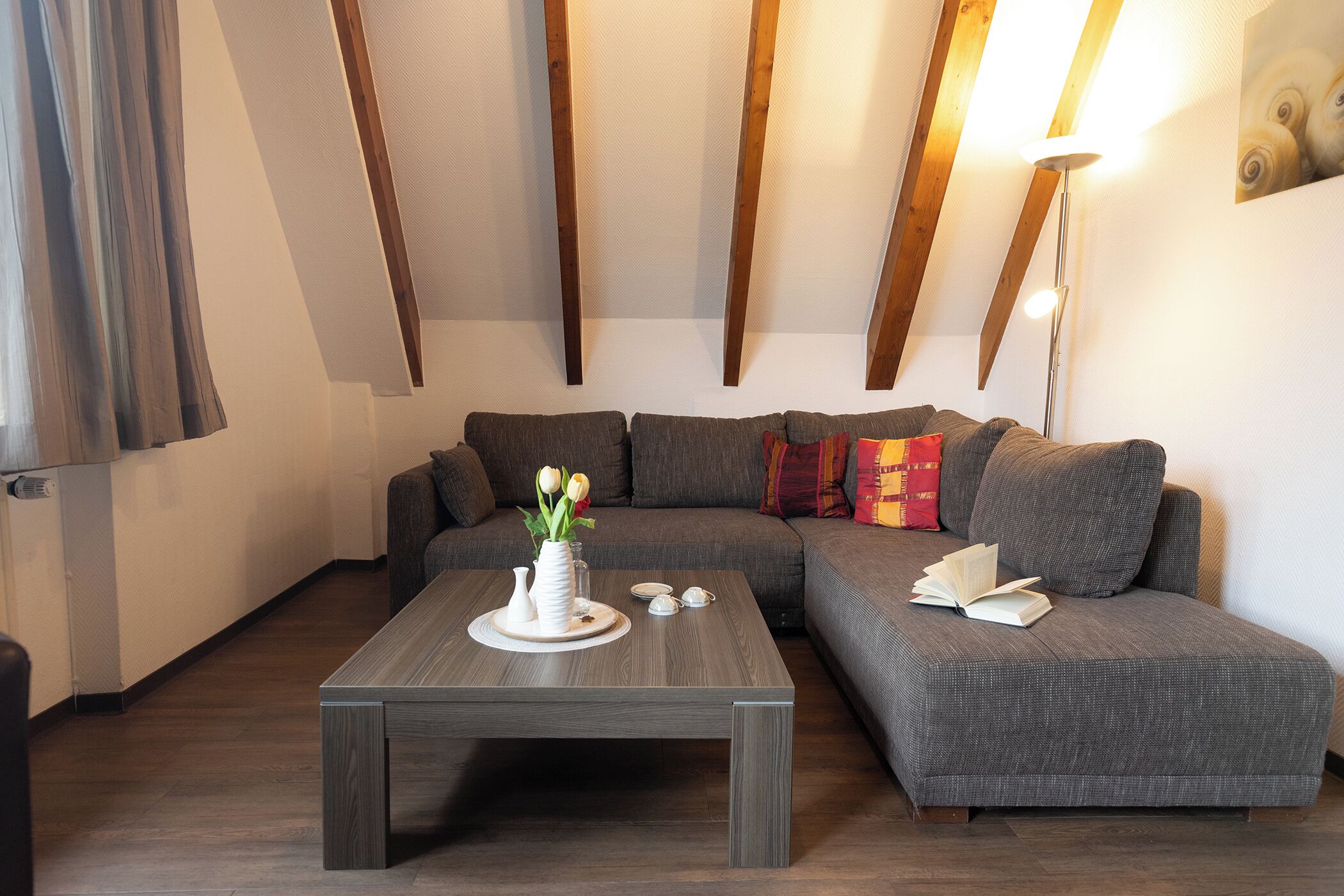 Fernseher, Stereoanlage