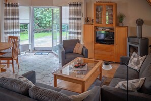 Een televisie, een open haard, een dvd-speler en een stereo