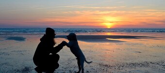 Vacation apartment Lili Marleen 3-20, peaceful and with a sun terrace.