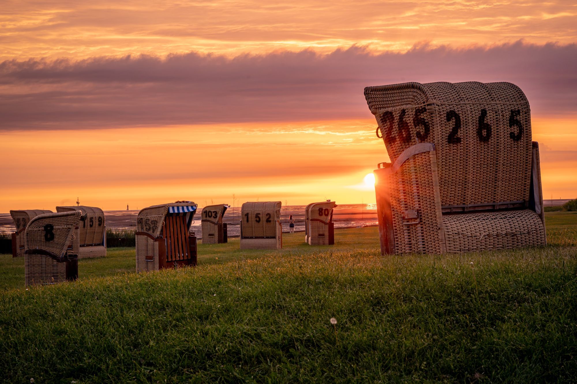 Sillas de mimbre con números, dispuestas al aire libre con un atardecer de fondo.
