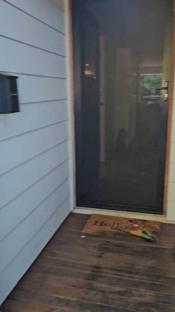 Una puerta con un panel de vidrio, un felpudo y un objeto negro pequeño en la pared.