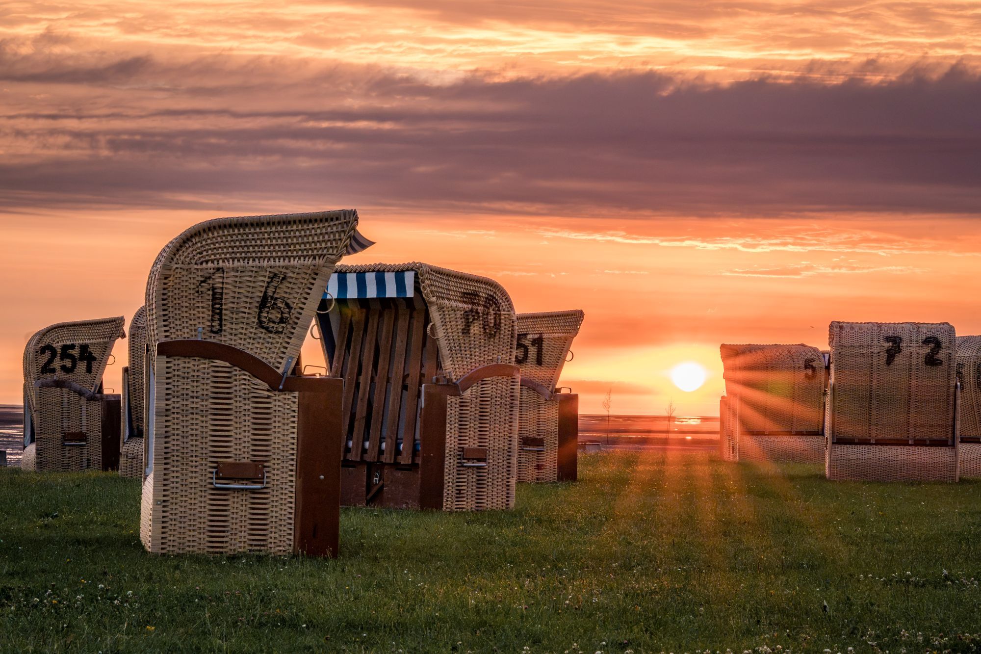 Des chaises en osier portant des numéros, disposées à l’extérieur, avec un coucher de soleil en arrière-plan.