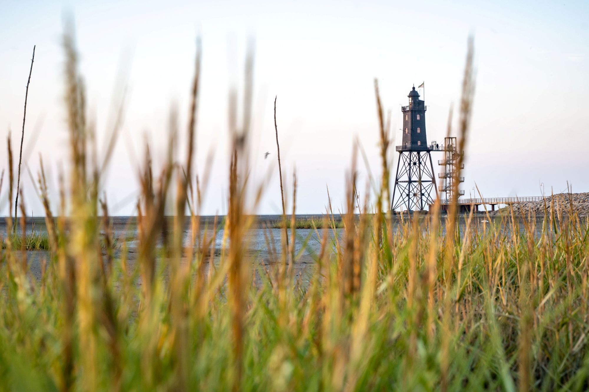 Een vuurtoren met een metalen constructie en een vlag aan de top, gelegen aan een waterpartij met gras op de voorgrond.