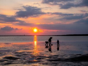 Vlak bij het strand