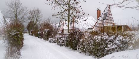 A snow-covered rural road with houses on either side.