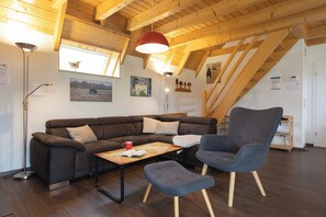 Télévision, cheminée, lecteur de DVD, chaîne hi-fi