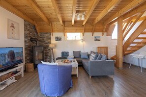 Télévision, cheminée, lecteur de DVD, chaîne hi-fi