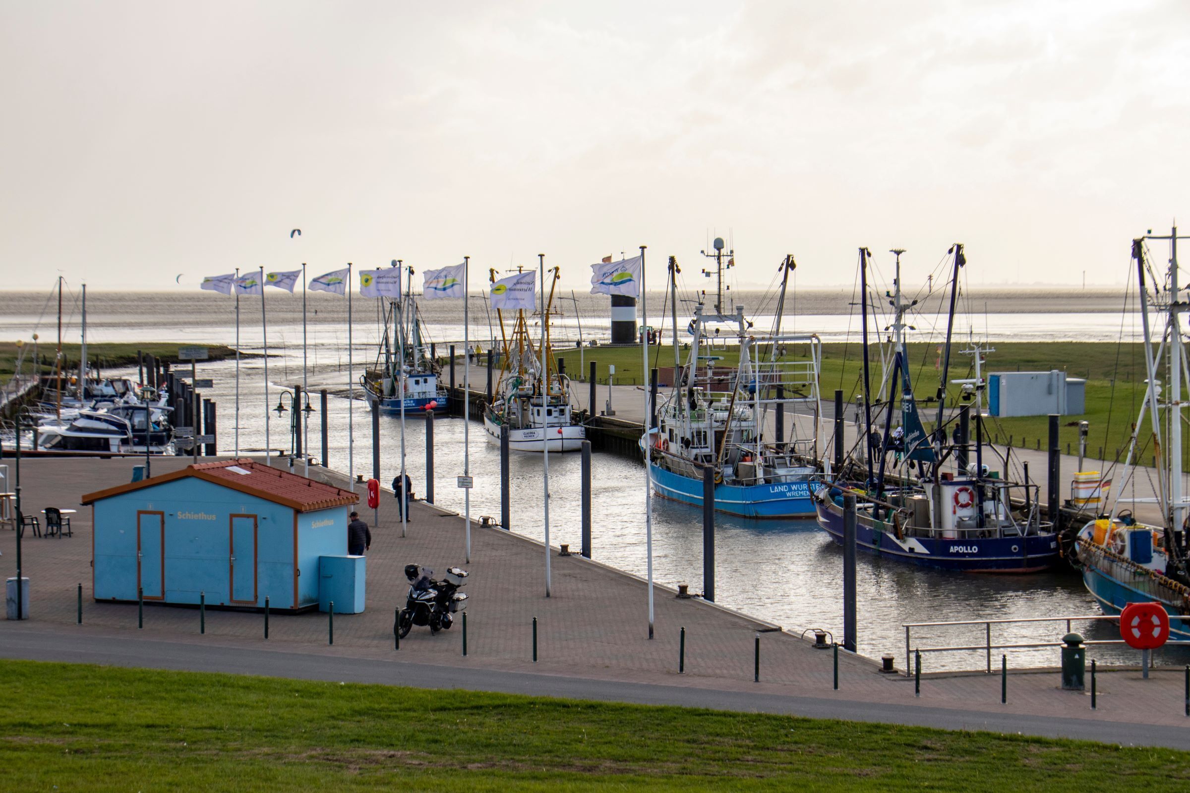 A harbor with boats docked, a small building labeled 'Schilfsus', and a paved walkway.