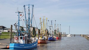 Huvivenesatama