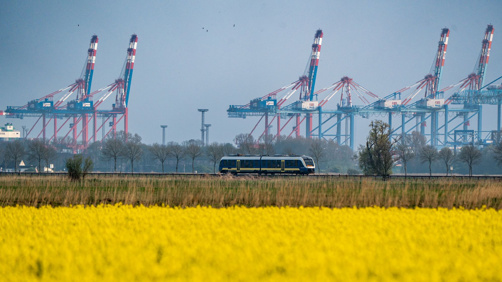 Ein Zug fährt durch ein Feld mit gelben Blumen, im Hintergrund sind Industrieanlagen und Kräne zu sehen.