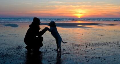 Ferienreihenhaus Baltrum. Strandnah und stilvoll.