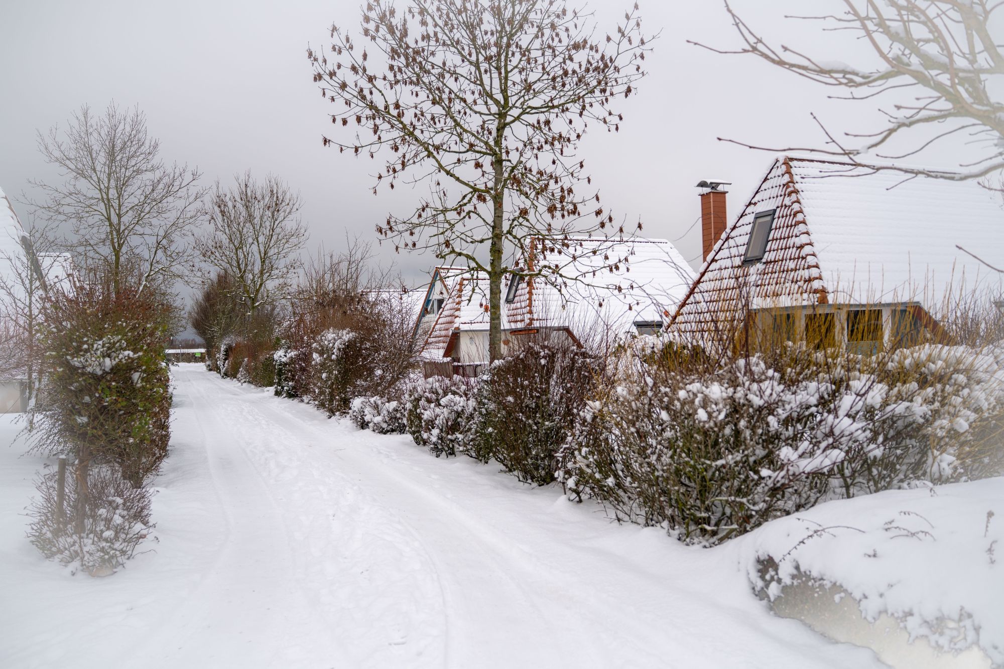 Une route de campagne enneigée, avec des maisons de chaque côté.