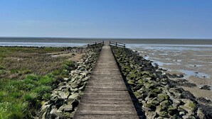 Un paseo marítimo de madera que conduce a una playa con terreno rocoso y vegetación escasa.
