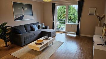 Fernseher, Stereoanlage