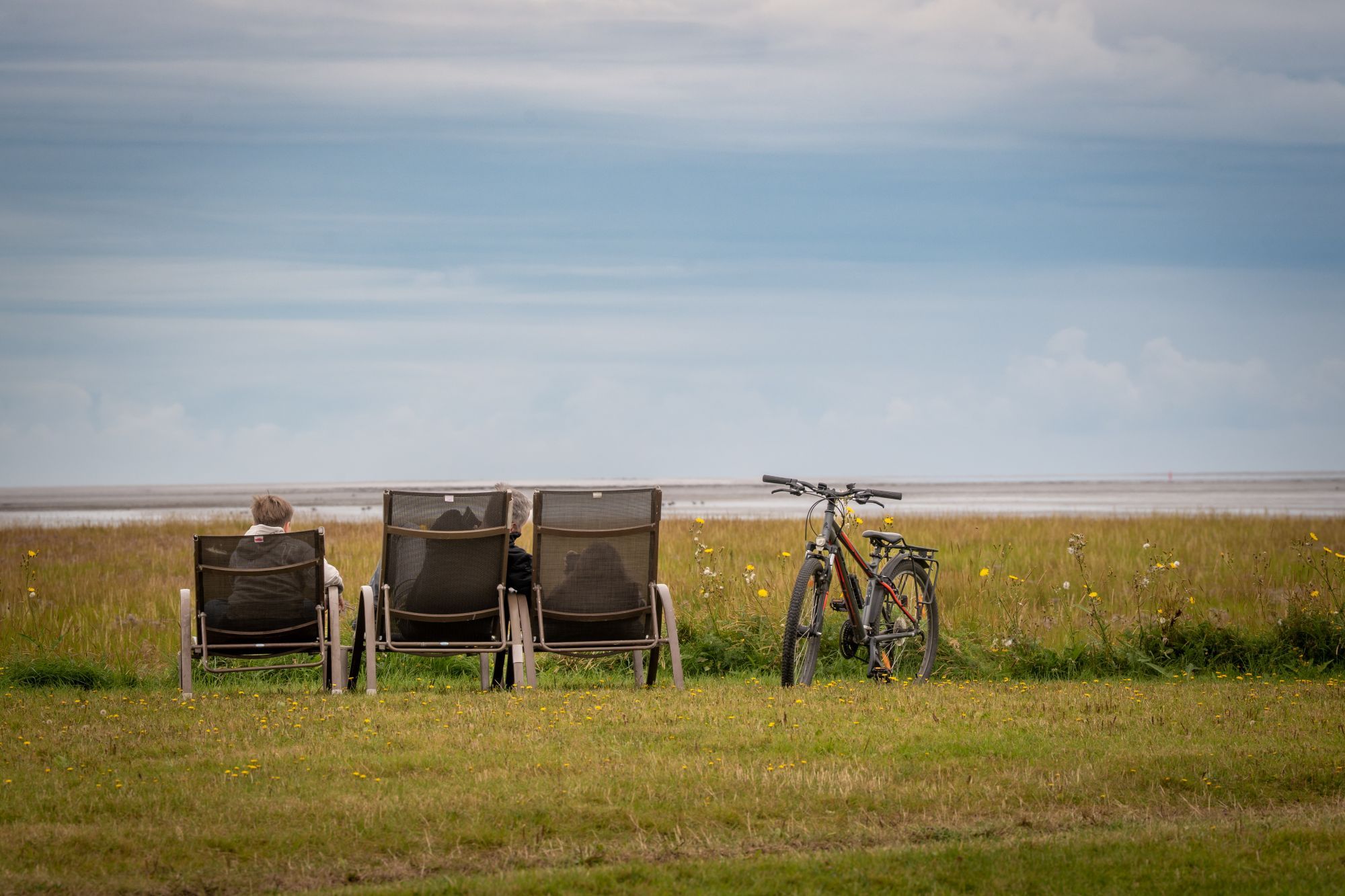 Drei Stühle und ein Fahrrad auf einer Wiese mit Blick aufs Wasser.