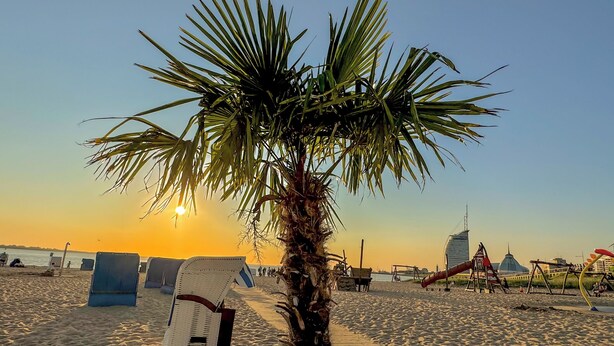 A beach with a palm tree, beach chairs, and a playground. - Vacation apartment Moni's Haven. Dream view and loggia. (Bremerhaven)