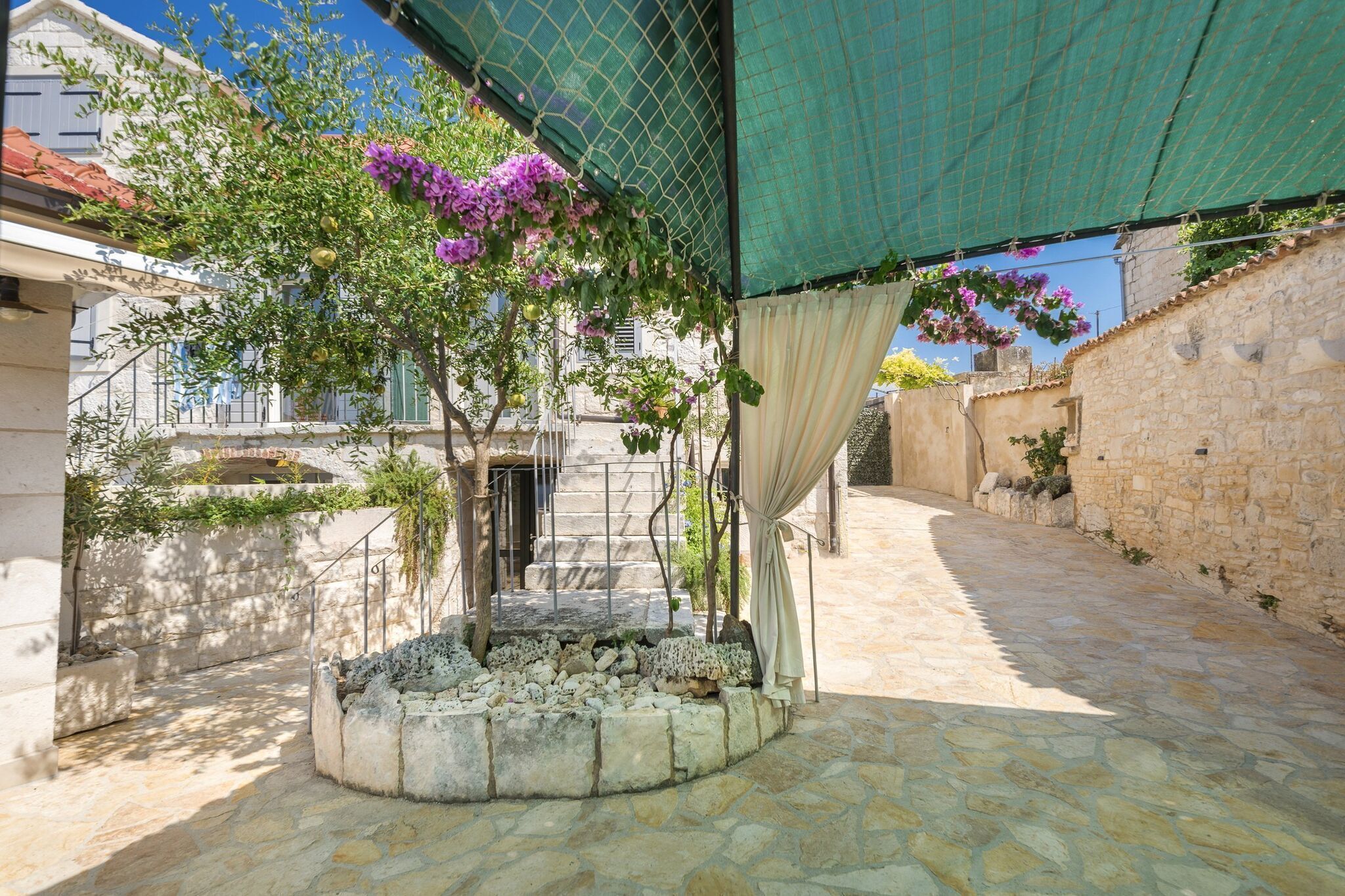 A courtyard with a stone pathway, a small tree with purple flowers, and a green canopy.