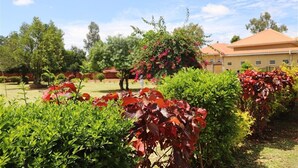 A well-maintained garden with various shrubs and flowering plants, a building with a red roof, and trees in the background. - Hotel Judith (Gulu)