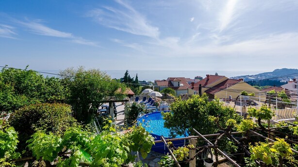 A pool surrounded by lush greenery and houses with red roofs.