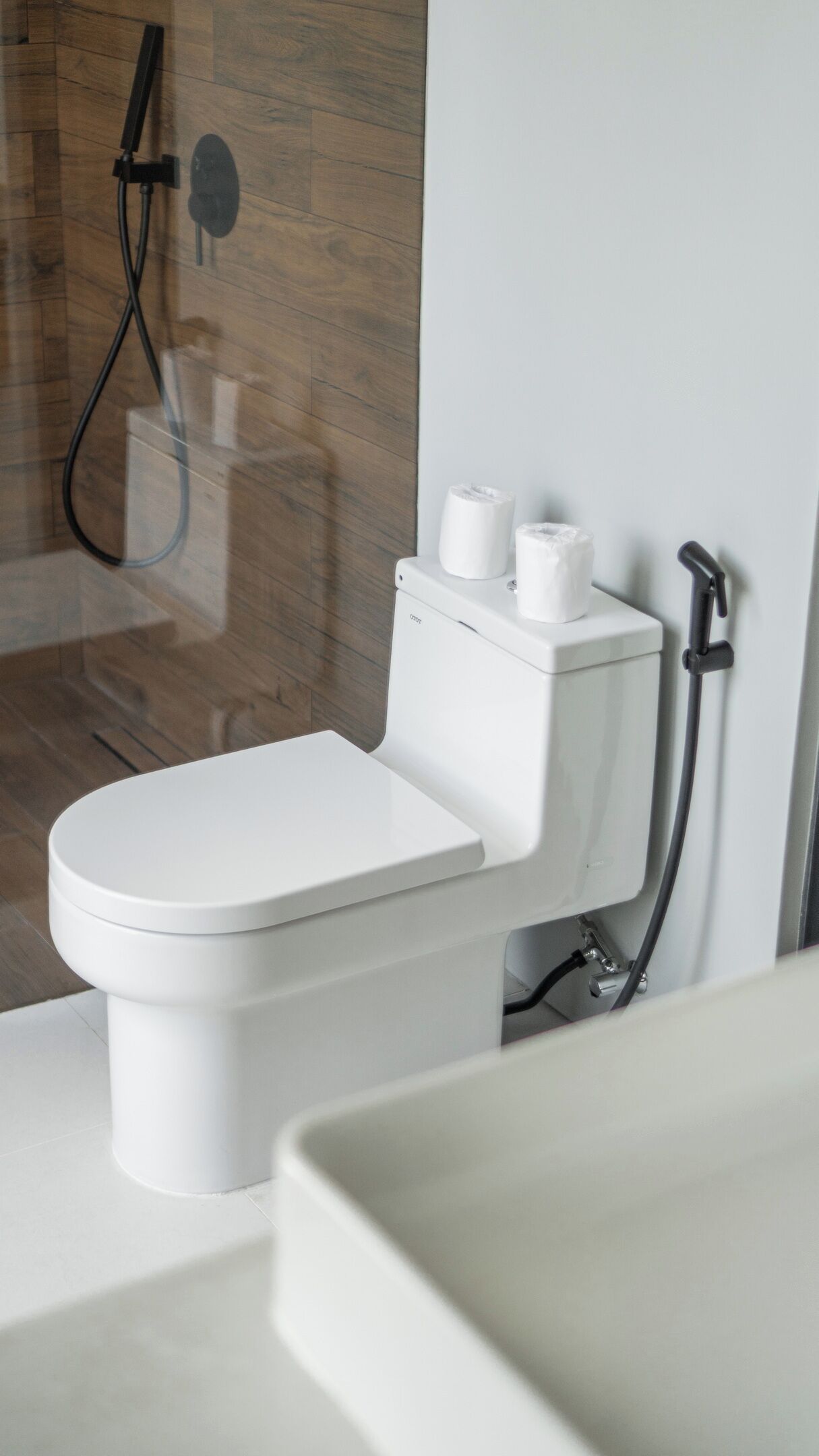 Een moderne badkamer met een wit toilet, een douche en een wastafel.