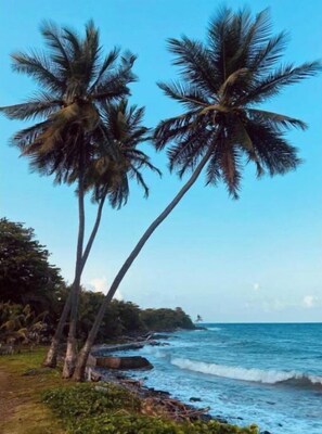 Beach - Bethany, 3 bedrooms for 7 people, large living room. (Le Gosier, route de pliane , marre gaillard)
