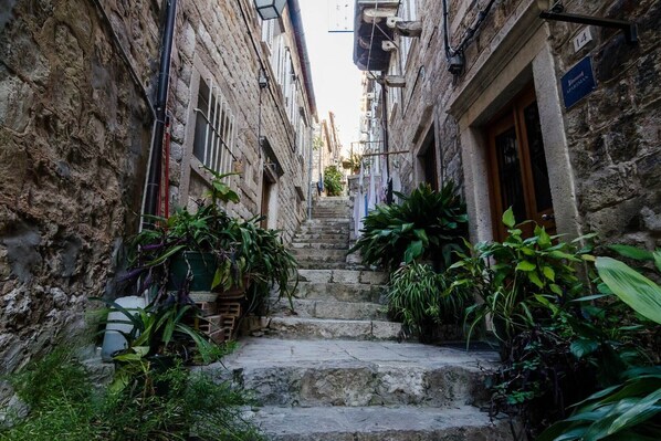 A narrow stone staircase leading up to a building entrance, flanked by potted plants and a hanging sign.