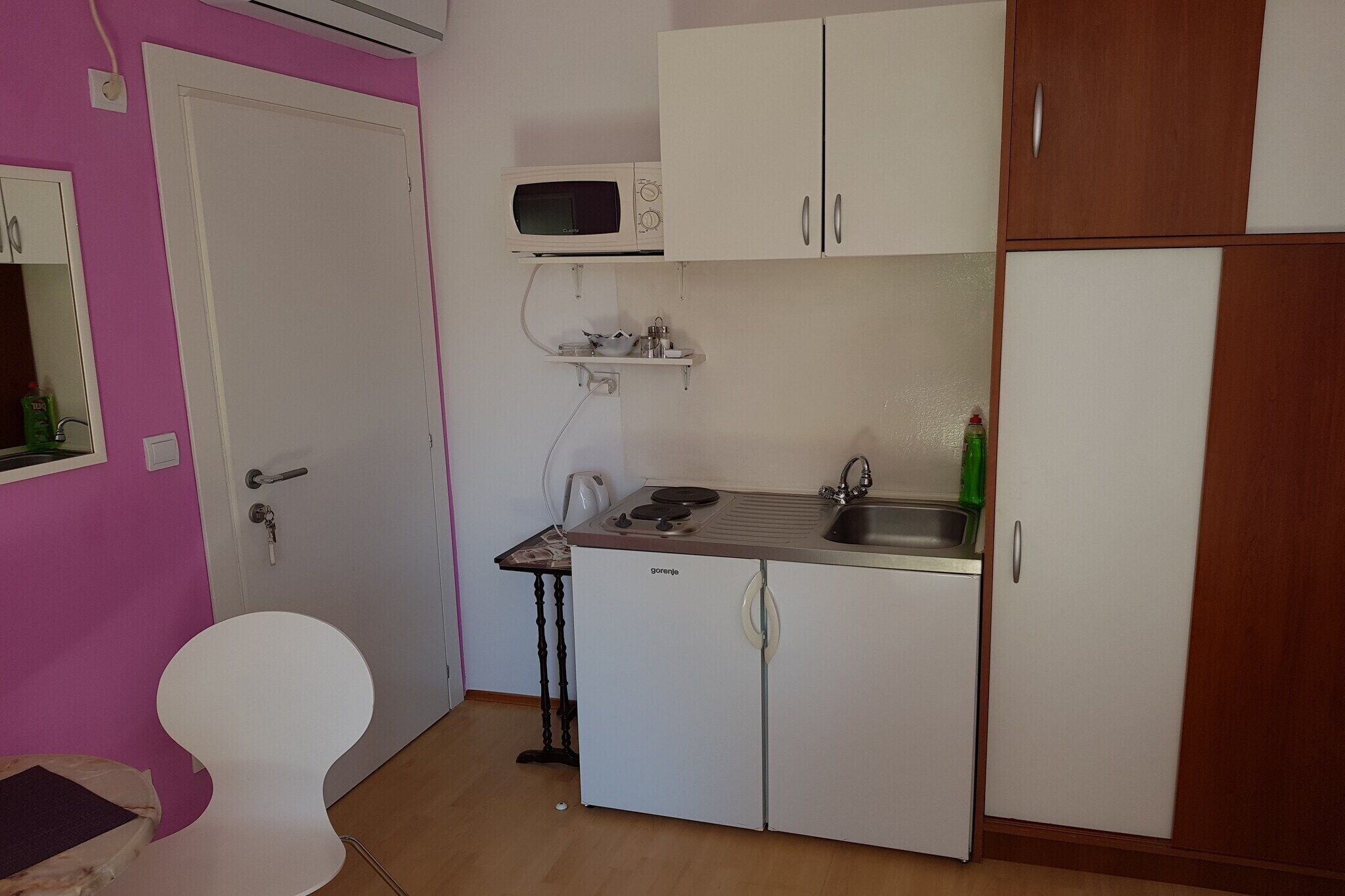 Kühlschrank, Mikrowelle, Herdplatte, Kochgeschirr/Geschirr/Besteck