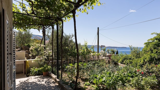 A garden with a pergola, potted plants, and a view of the sea.