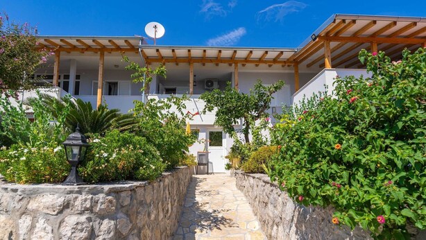 A courtyard with stone pathways, a pergola, and lush greenery.