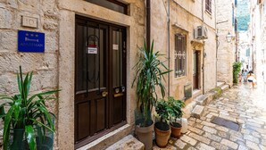 A narrow stone-paved street with a building featuring a dark brown door, a blue sign with stars, and several potted plants.