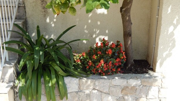 A stone wall with a potted plant and red flowers.