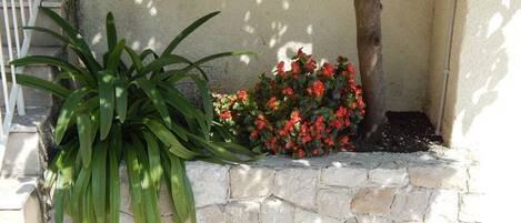 Details aan de buitenkant