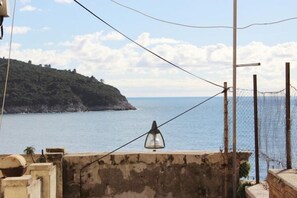 Vista desde la propiedad