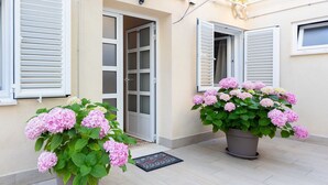 A building entrance with two potted plants of pink flowers, a door, and a window with shutters. - Rooms Batina - Double Room-1 (Dubrovnik)