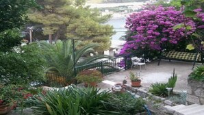 Un balcon agrémenté de plantes en pot, une vue sur un plan d’eau et une ville située au loin.