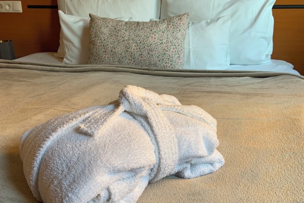 Basic Double Room | In-room safe, desk, soundproofing, free WiFi