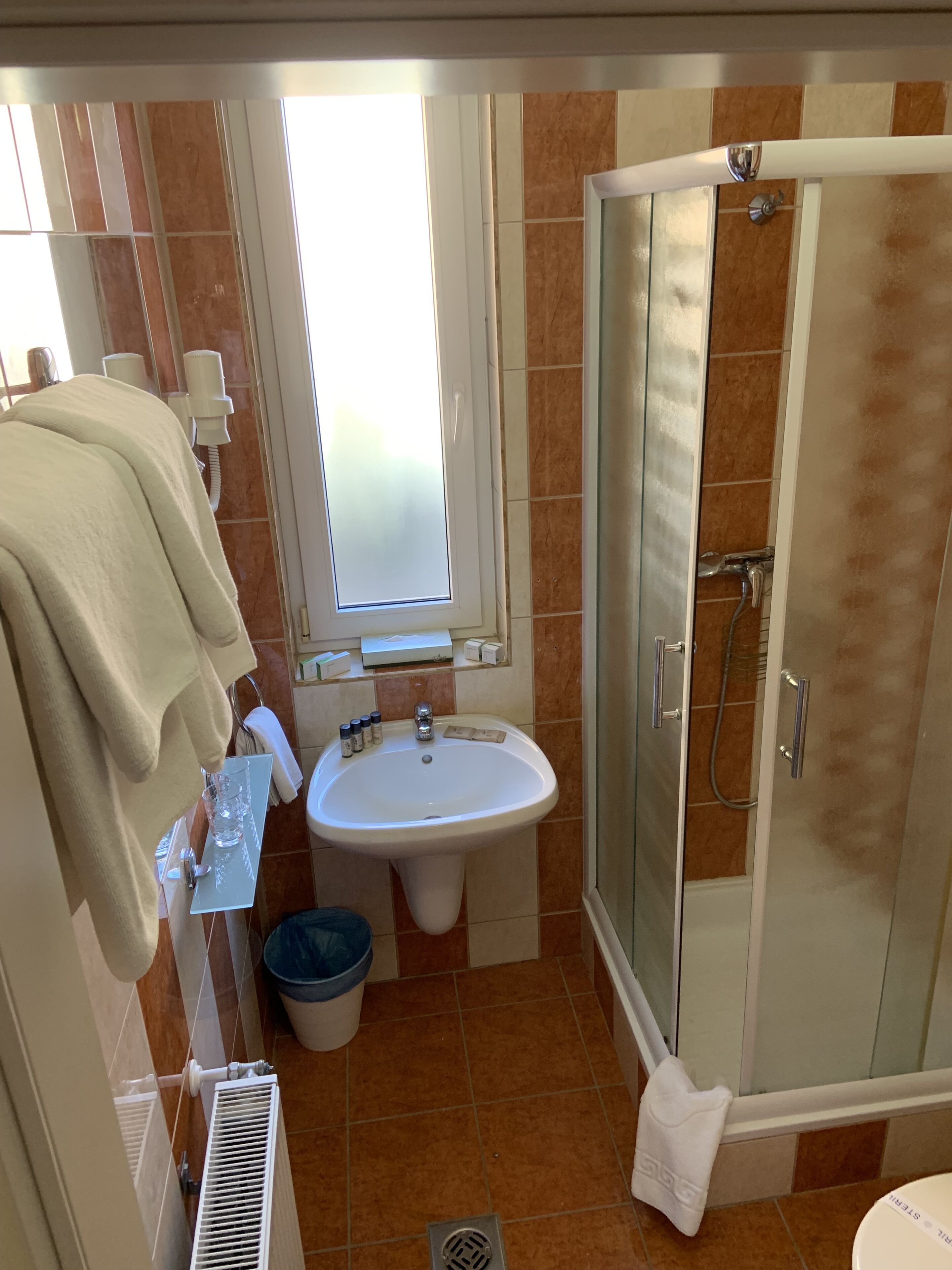 A bathroom with a shower, sink, and a window.