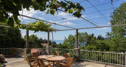 Apartments Anka - One-Bedroom Apartment with Balcony and Sea View