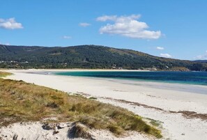 Toallas de playa 